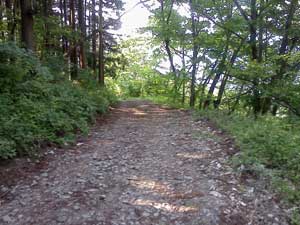 �ѓ���i�ށB