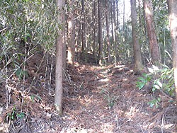 ���v�ۓo�R������̓o�R��