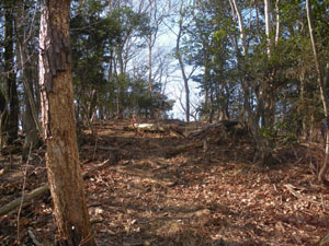 ピーク点に到着〜