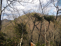 �����Ǝ��v�ێR���낤�`�H