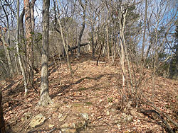 �������͑S�R�r��ĂȂ�