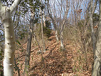 �ǂ���R���ł͖�������