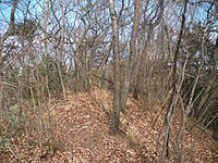 �ǂ���R���ł͖�������