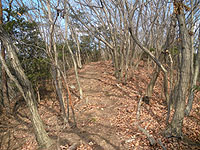 どれも山頂では無かった