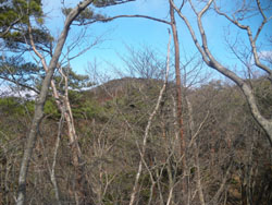 ���ꂪ�R�����낤�`�H�H