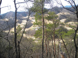 �S���t��