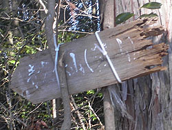 ���v�ێR�ւ̕W��