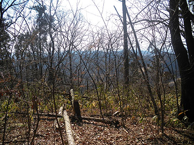 山頂からの眺め