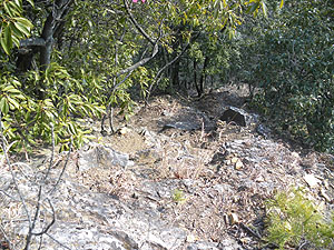 �o�R���͐��