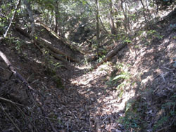 �[���@�艺����ꂽ��