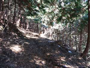 ���Ԓn����̓o�R��