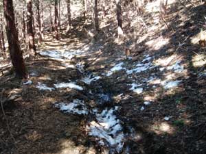 駐車地からの登山道