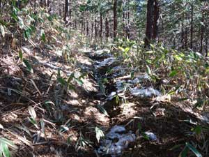 ���Ԓn����̓o�R��