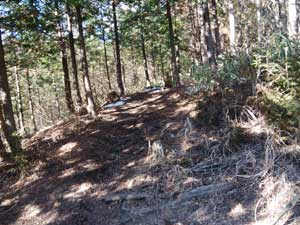 �K����̓o�R���B