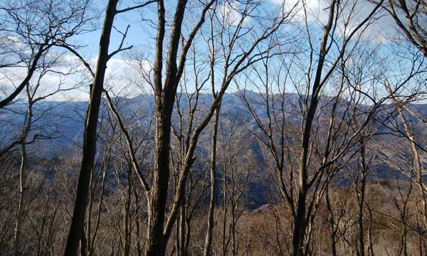 山頂からの眺め