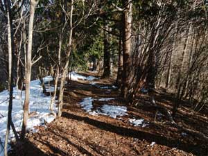 �R������̓o�R���B