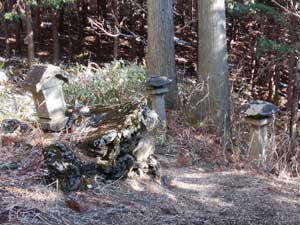 ���m�����K