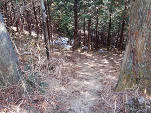 ���m������̓o�R���B