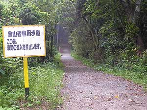 ���ԏꂩ��̓o�R���B