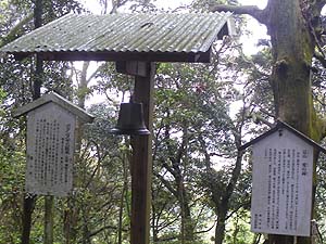 �����I�ɉ���o�R���B