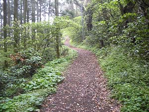 ����̏ࣂ���̓o�R���B