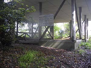 �x�R�R��(���)