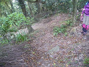 ���R�J�n�`