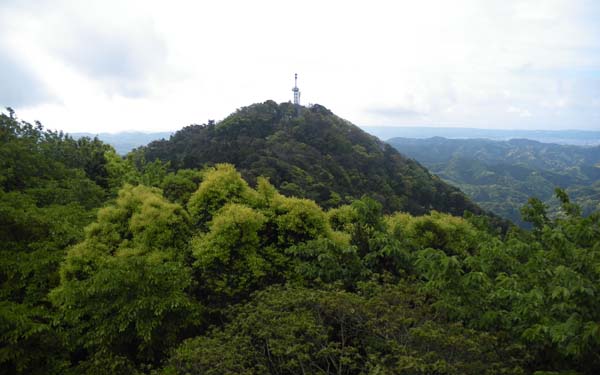 展望台からの眺め