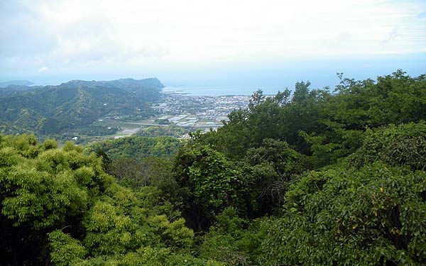 展望台からの眺め