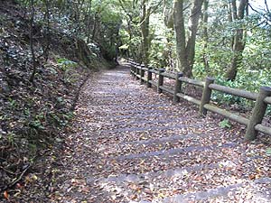 �Ԃ������ė����`