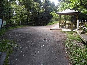 �R�����ԏ�