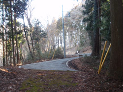 �ܑ��H(�V��)�ƍ���