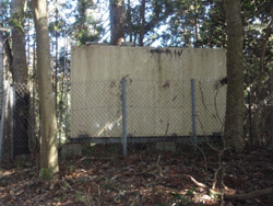 �����^���N