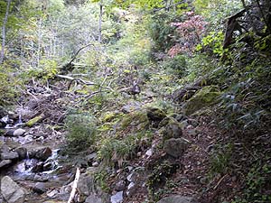 �򉈂��̓o�R��