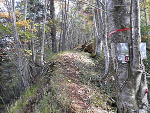 �����R�ւƁA������i�񂾁B