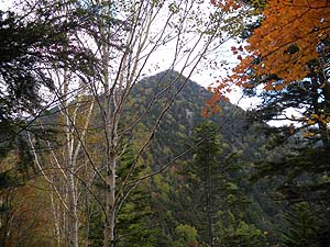 �����R�͂���Ǝp�������Ă��ꂽ�`