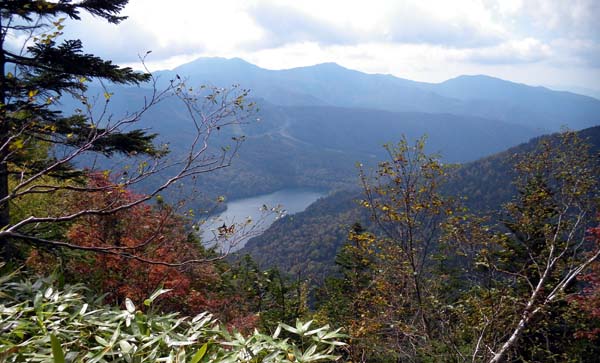 �o�R���������猩�����ۏ�