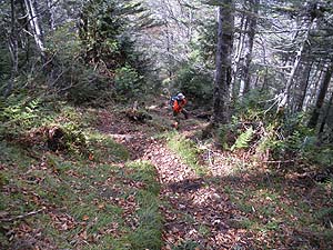 �}�΂͑����`�`