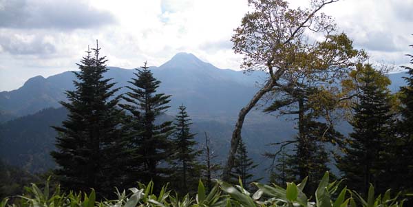 ���������R