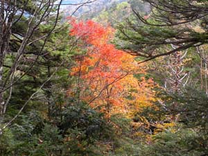 �g�t�̂��ꂢ�ȏꏊ���`