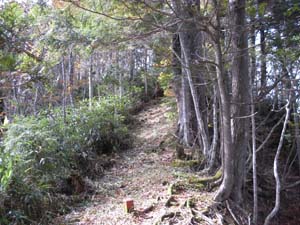 �L���������荞�܂�Ă���