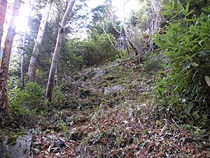 �Γx�͑����Ă������B