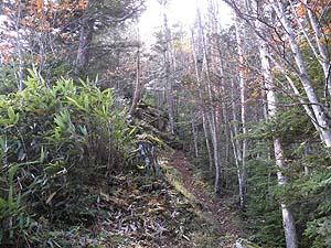 �Γx�͑����Ă������B