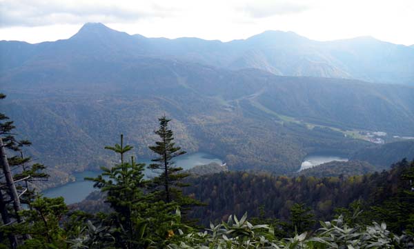 �R���t�߂���̒���