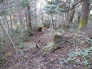 �}�΂�T�d�ɉ������B