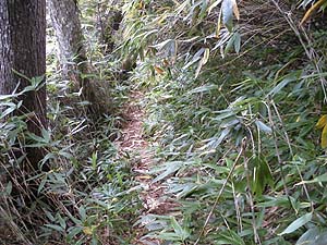 �����ז��Ɋ�������`