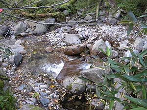  �����ȑ������n�����낤���`�H