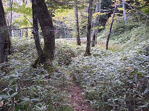  ������i�ށB