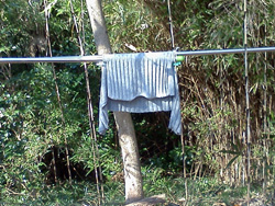 �����ĊԂ��Ȃ��H�Z�[�^�[�H