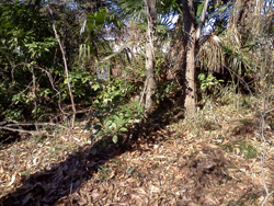 ��ԍ����ꏊ